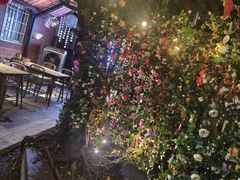 -不曾在把把烧•烧烤(莲坂磐基店)