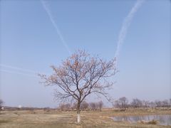 -盘龙城国家考古遗址公园