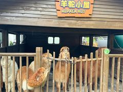 -太阳岛旅游度假区