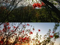 -萍乡武功山风景名胜区
