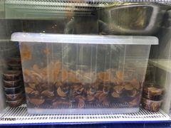 -1817大碗牛肉粉