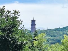 -胖子鱼·天水麻辣鱼火锅(秦州407店)