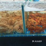 来三亚的宝子们如果想住民宿不如看看亚龙湾 博后村这边