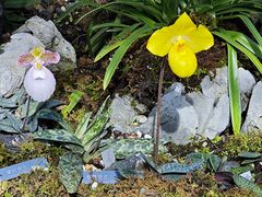 -国家植物园南园