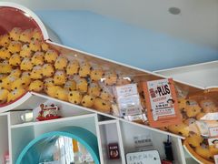 -极橙儿童齿科矫正中心(奥城店)