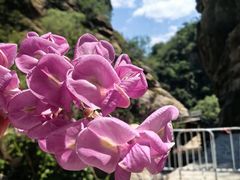 -黑龙潭风景区