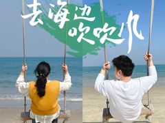 -汕尾风车岛