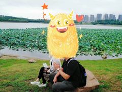 -丁香湖公园