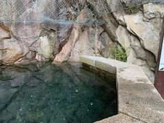 -崂山巨峰游览区