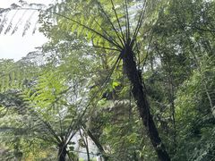 -赤水丹霞旅游区·大瀑布