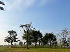 -海花岛旅游度假区