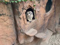 -长鹿旅游休博园