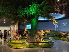 -安徽省地质博物馆