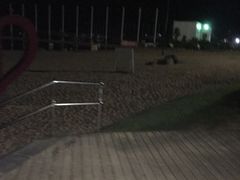-碧海金沙