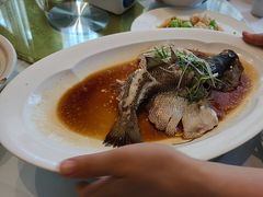 -眉州东坡(北苑华贸店)