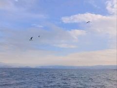 -大理洱海