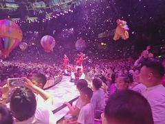 -广州长隆国际大马戏