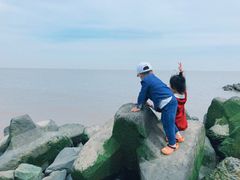 -南汇嘴观海公园