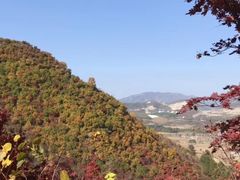 -龙道沟景区