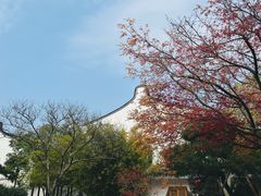 -龙华寺