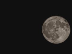 -星巴克(北京新奥购物中心店)