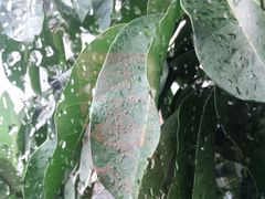 -生态苑农庄(十里画廊遇龙河店)