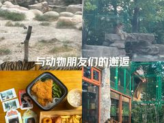 -上海野生动物园