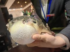 -永安鱼庄·镇江菜(东吴路店)