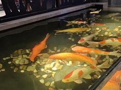-永青泉汗蒸广场(大运河博物馆店)