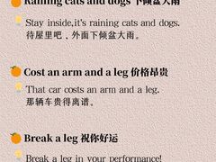 -引领英语·成人口语·雅思托福