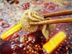 -星鸿社重庆老火锅
