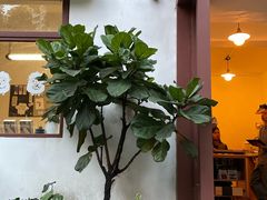 -SANYAY叁言咖啡巧克力