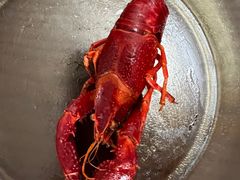 -食神鱼头佛跳墙(百子湾旗舰店)