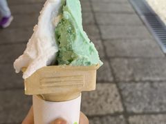 -柠檬车露(卖草地店)