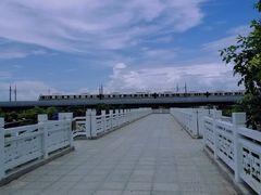 -宝安西湾红树林湿地公园