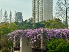-郑和公园
