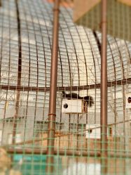 -萌宠亲子动物乐园(槐房万达店)