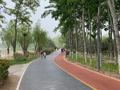 -大兴滨河森林公园