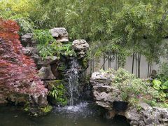 -上海醉白池公园