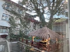 -普陀山雷迪森庄园
