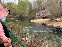 -长白岛森林公园