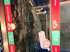 -鱼酷活鱼烤鱼(梅江印象城店)