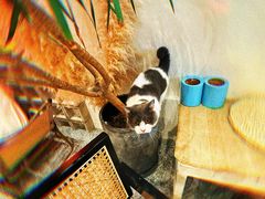 -seeu coffee(江滩店)