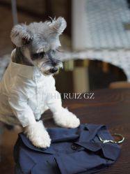 点击看大图 -THE RUIZ GZ睿制西装定制