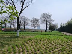 -汉长安城未央宫国家考古遗址公园