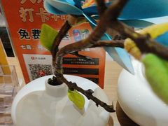 -粤香楼(新光里店)