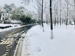 -天目湖涵田半山温泉