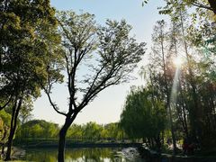-大宁公园