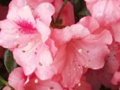 -上海植物园·停车场