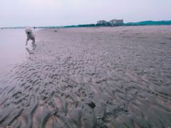 -江山半岛白浪滩景区